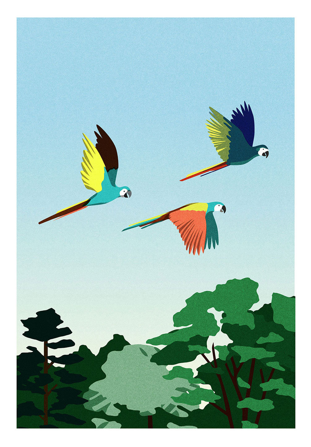 affiche-animaux-julie-guillem-amazonie-1