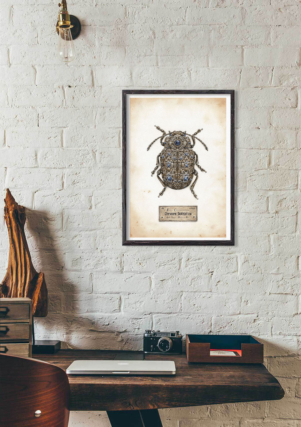 Papillon encadré, insecte, ancien, cadre, mur blanc, bureau, lampe, chaise, bois