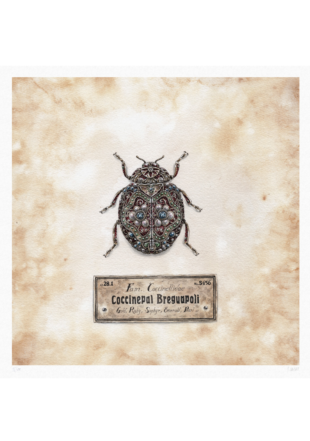 Papillon orné, étiquette, ancien, nature morte, bijoux, insecte, cadre, papier vieilli, détaillé, orné, ancien, étiquette