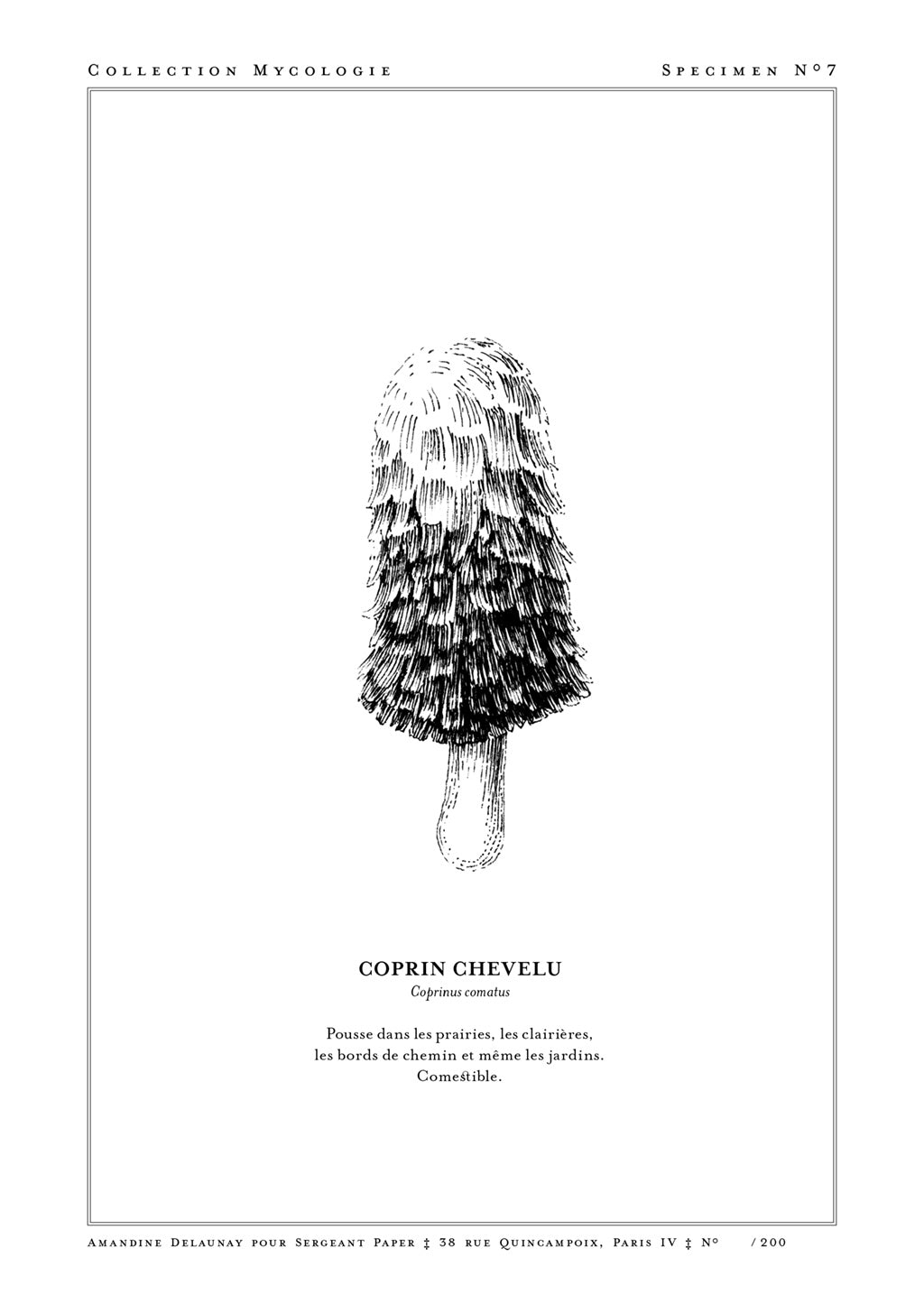 Illustration en noir et blanc d'un champignon, texte en français, cadre blanc