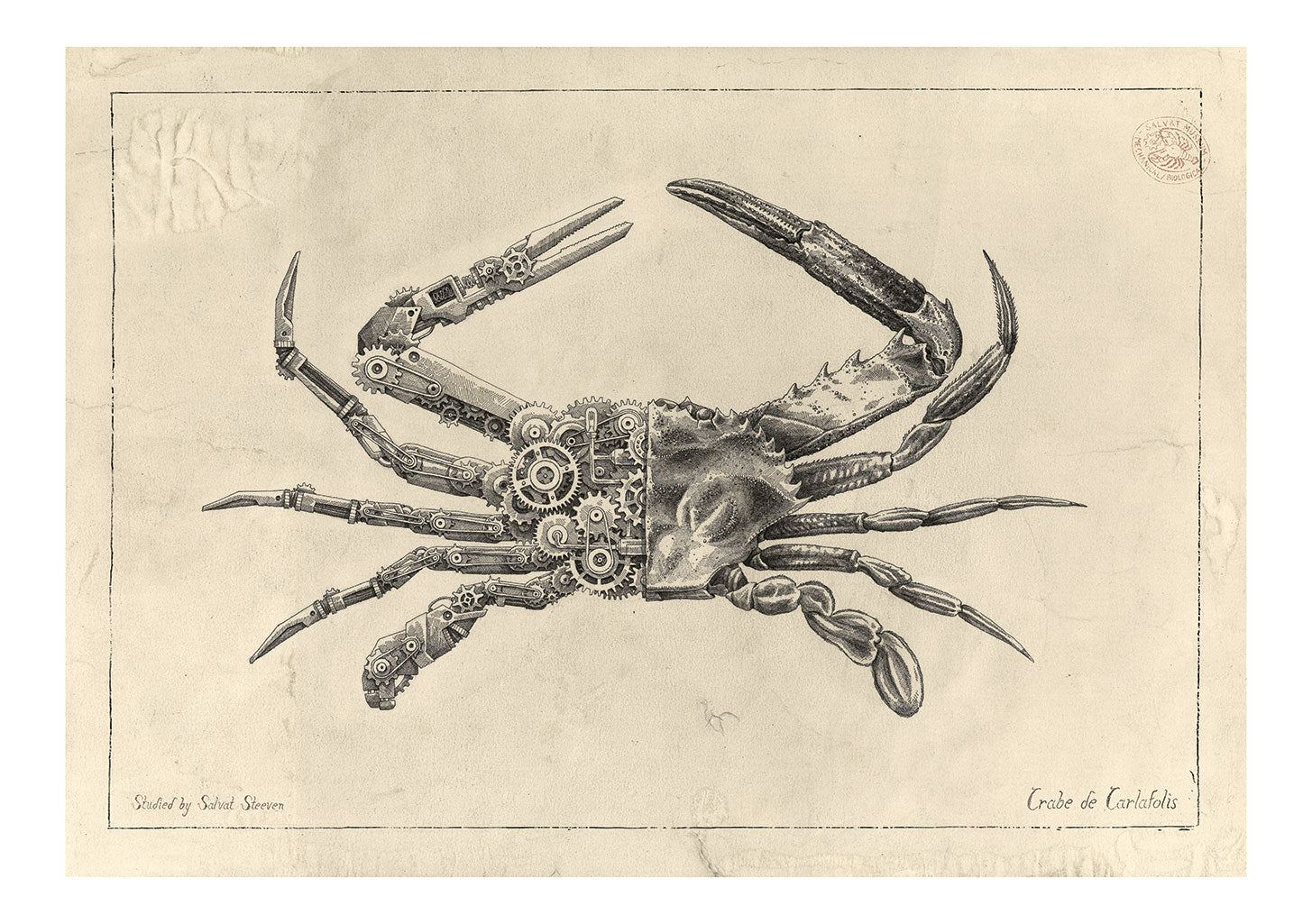 Crabe mécanique, dessin détaillé, étiquette de l'artiste, encre sur papier vieilli