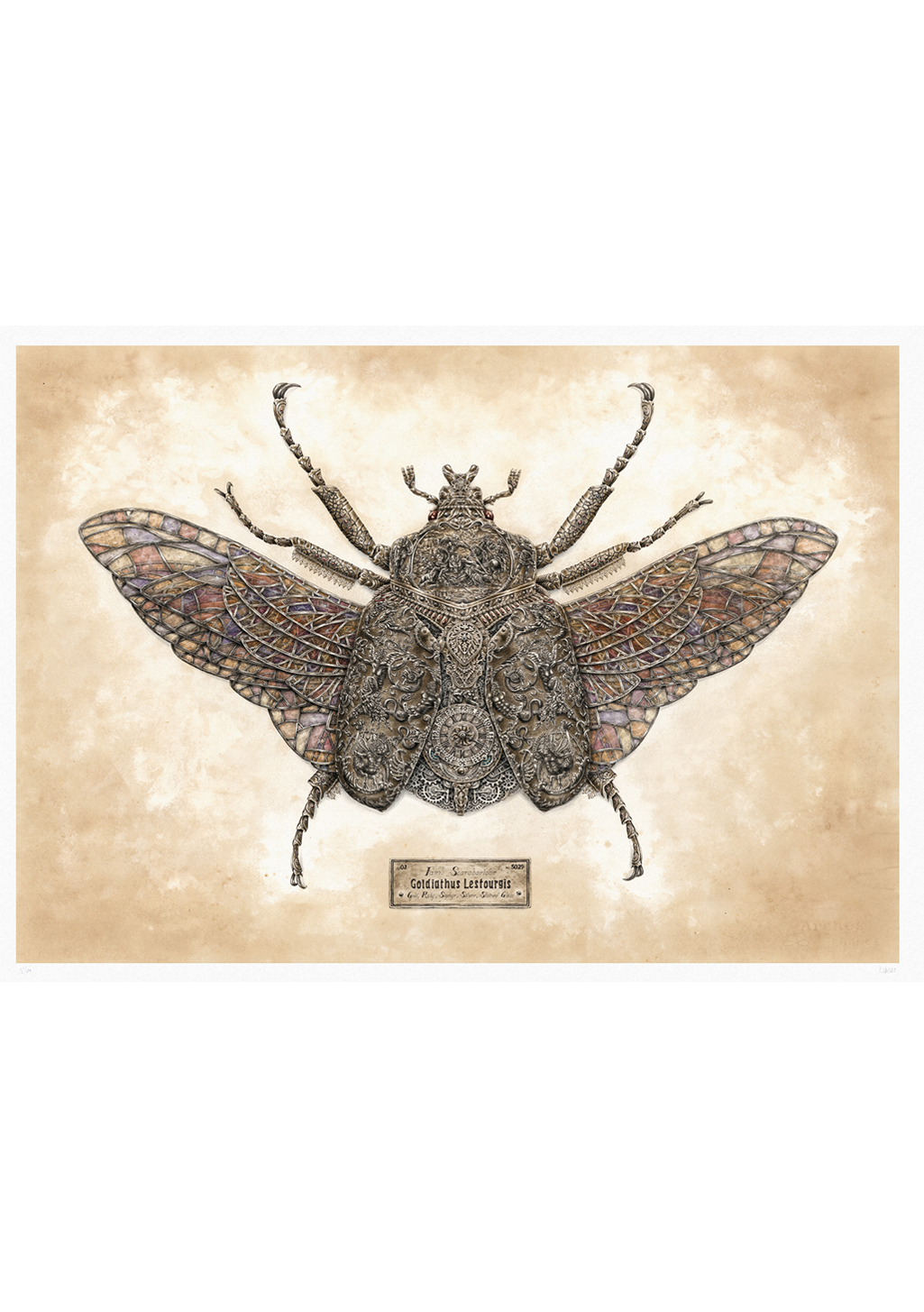 Papillon stylisé, motifs complexes, étiquette en bas, fond beige