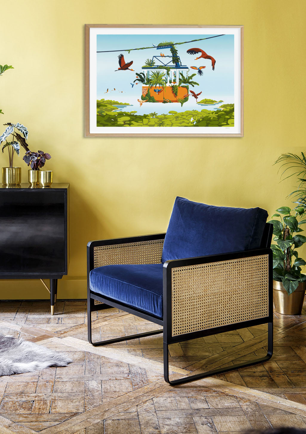 Oiseau, orange, vert, nature, vol, plante, cadre, peinture, mur, jaune, chaise, bleu