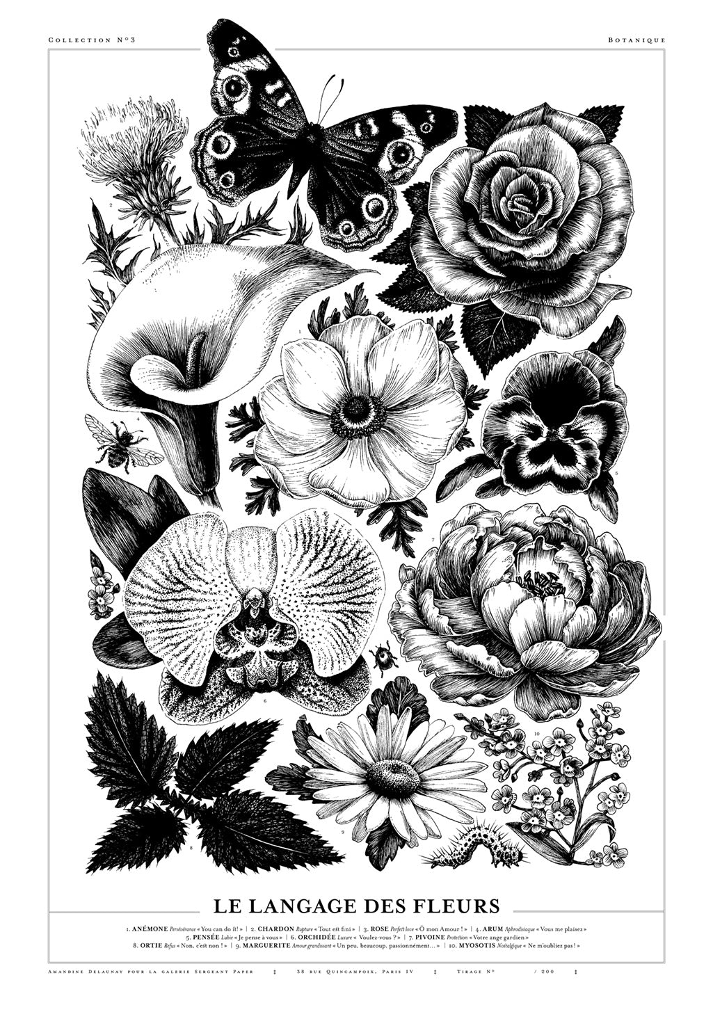 Poster en noir et blanc de fleurs et papillons