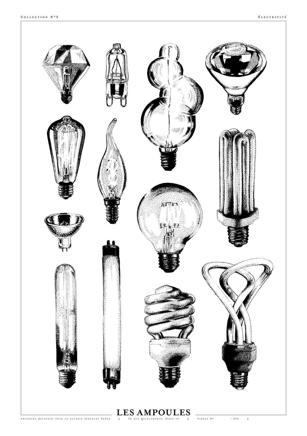 The lightbulbs