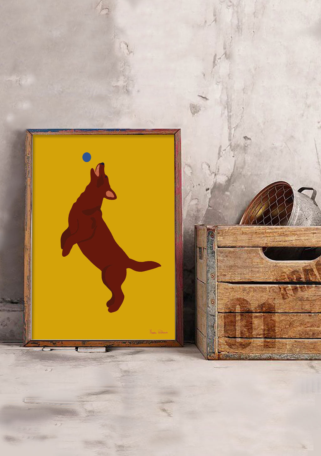 Chien sautant, balle jaune, cadre en bois, mur en béton