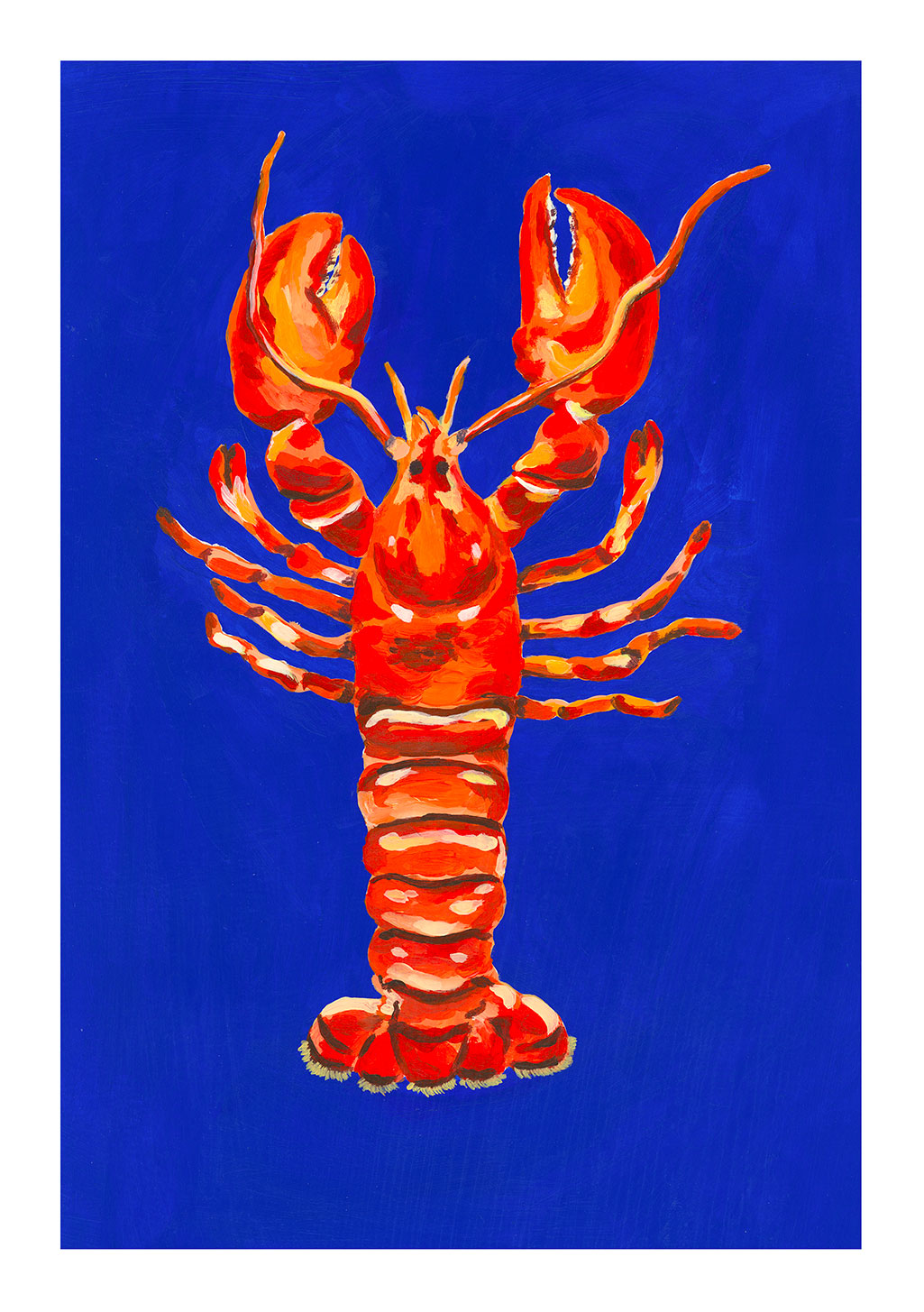 Lobster rouge vif sur fond bleu