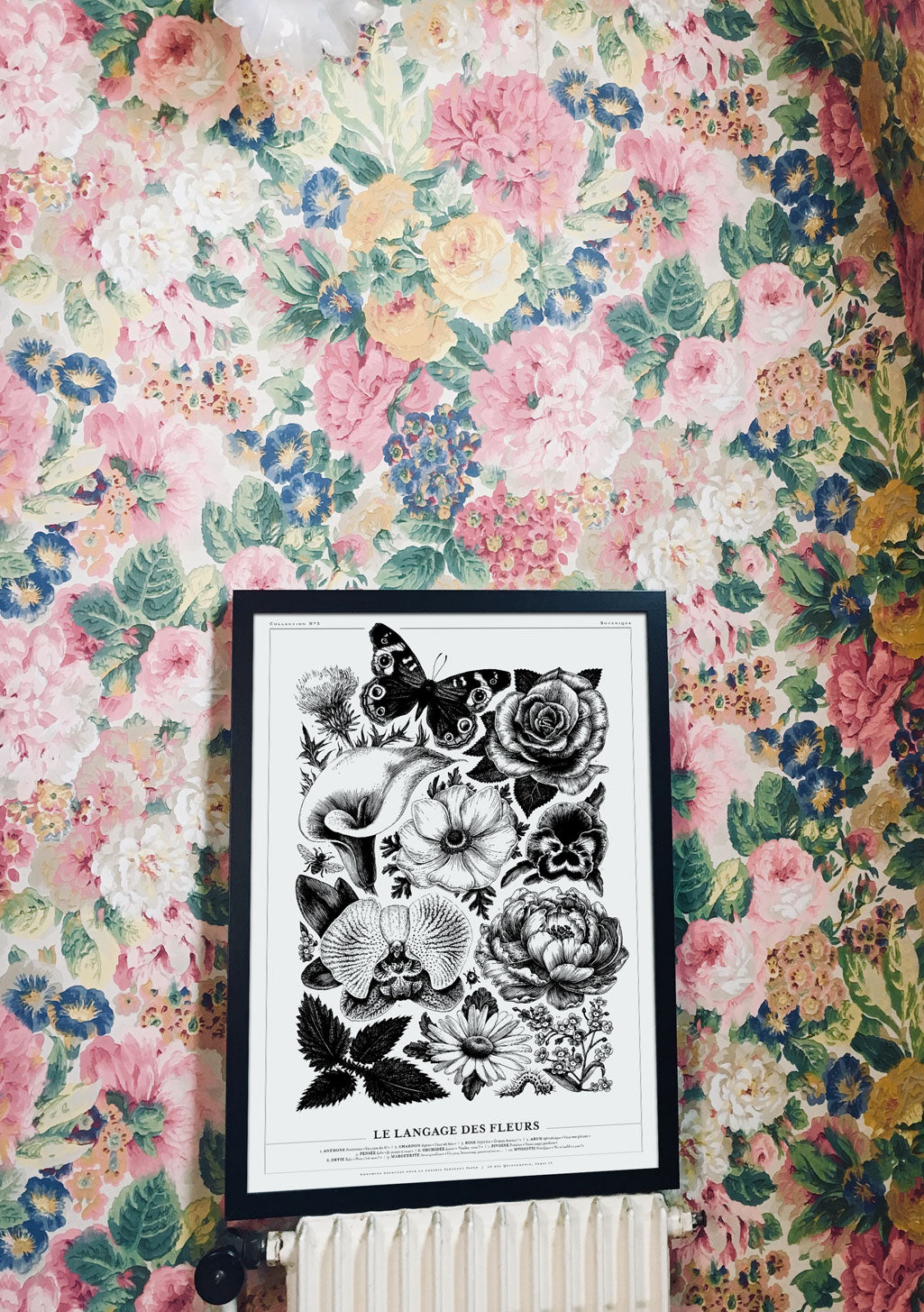 Poster floral noir et blanc avec papillon