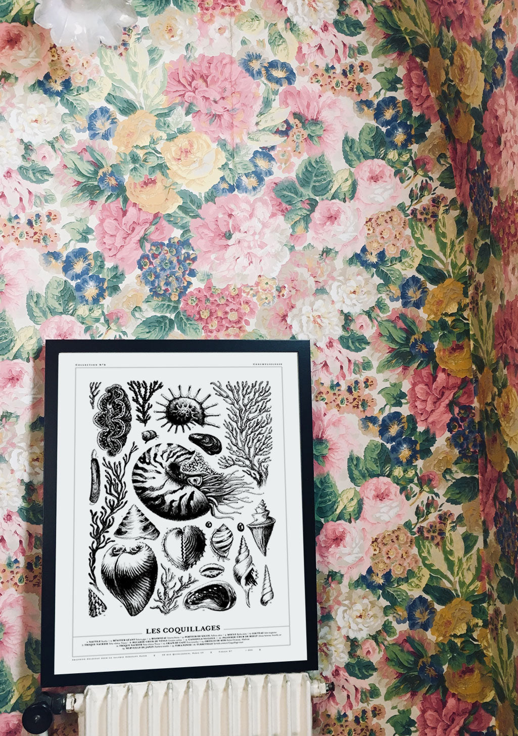 Poster en noir et blanc de coquillages et de coraux