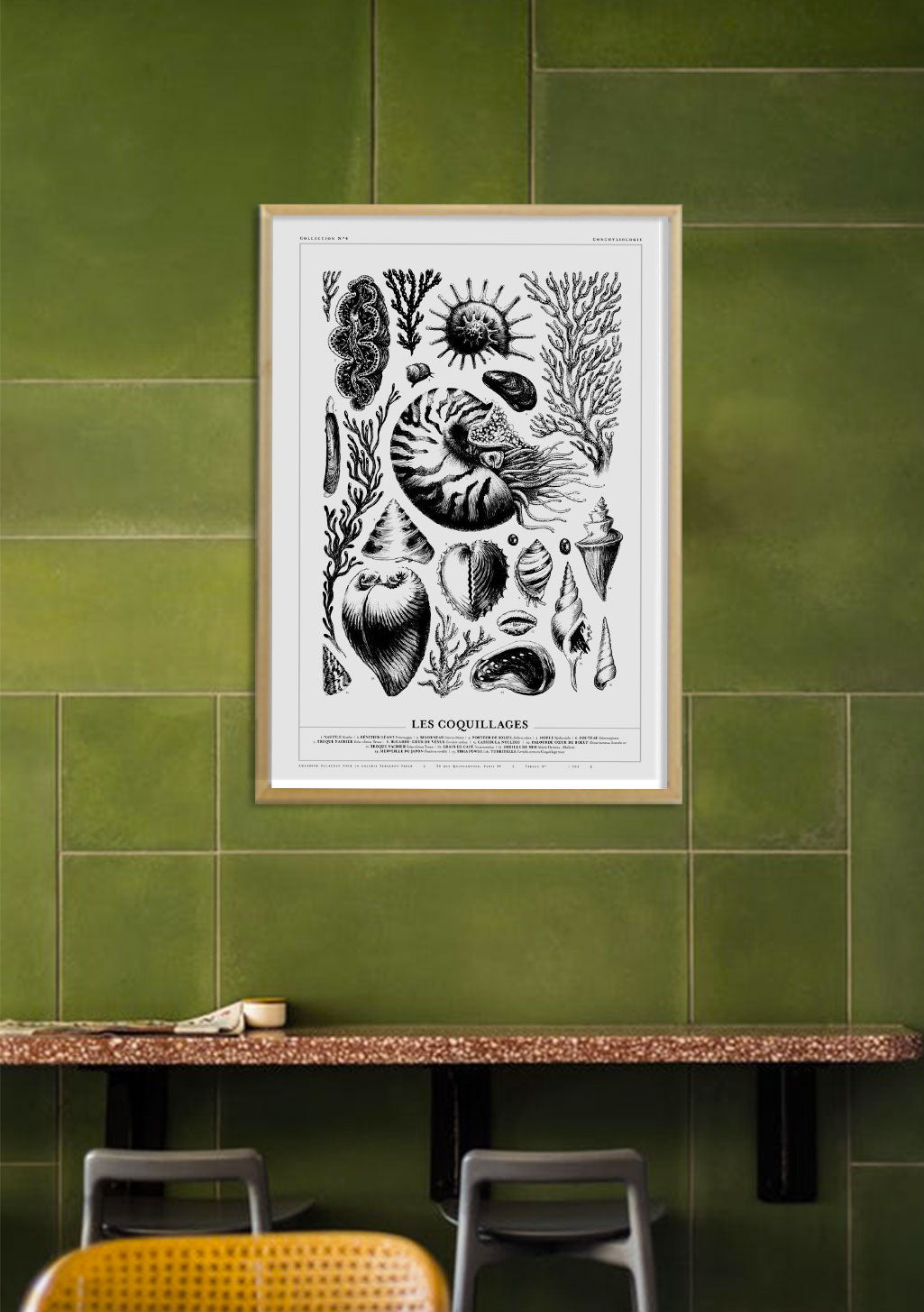 Poster en noir et blanc de coquillages et de coraux