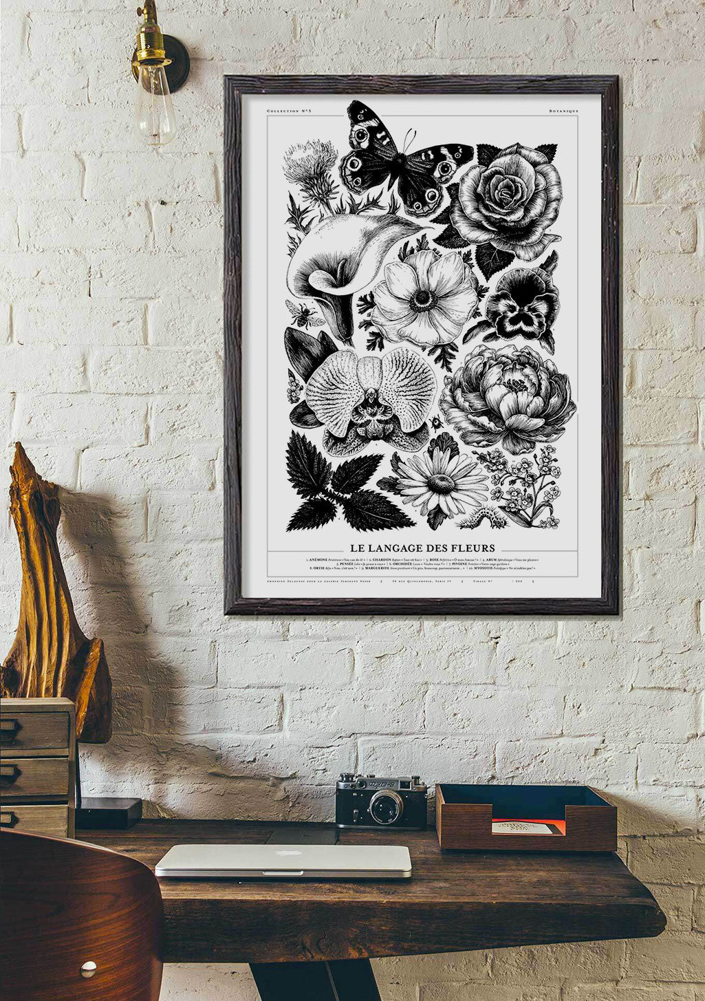 Fleur, papillon, squelette, langue des fleurs, illustration en noir et blanc