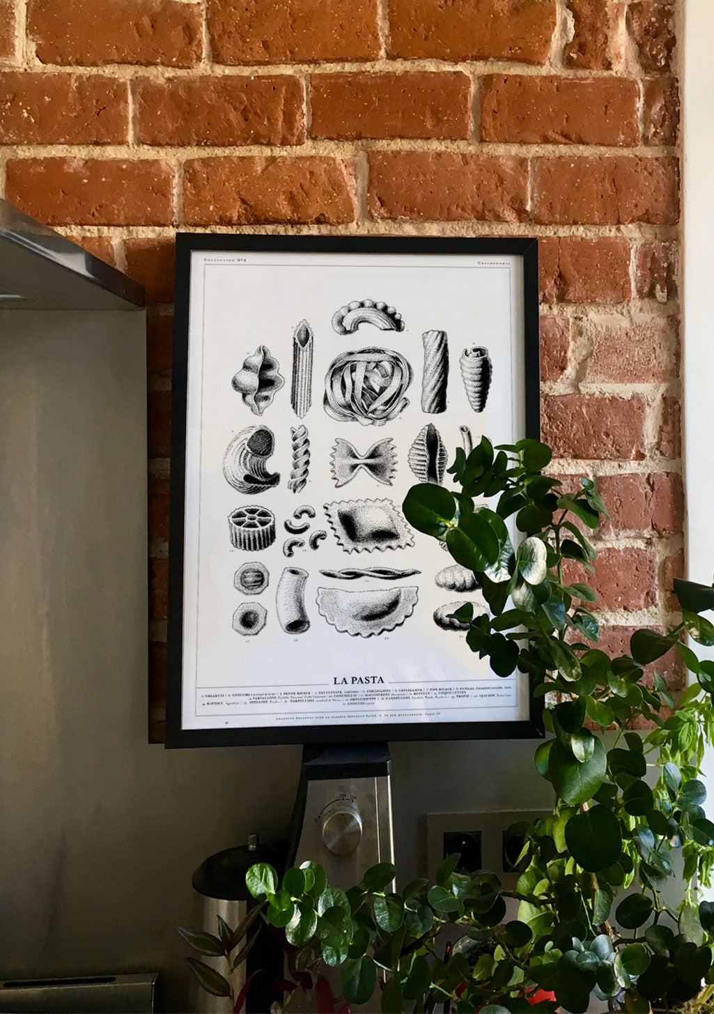 Poster de la pasta avec divers types de pâtes