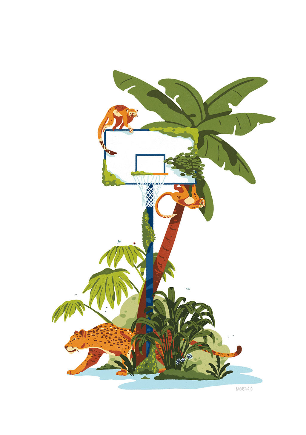 Affiche-animaux-fagostudio-palmier-de-basket-1