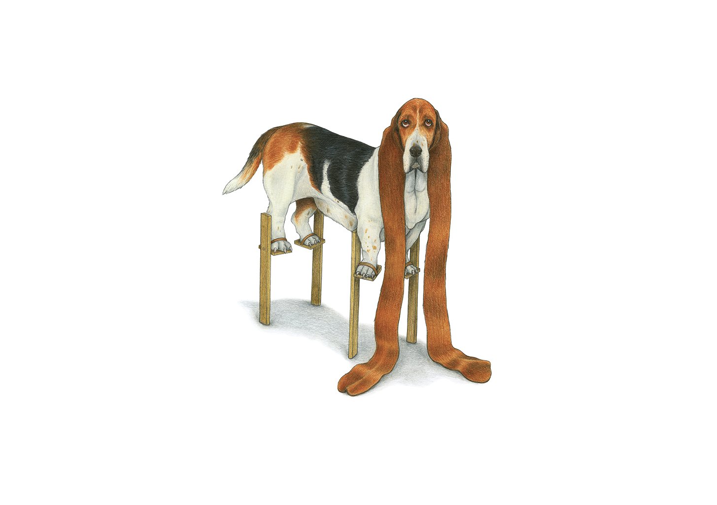 Chien Basset Artistique sur Pieds