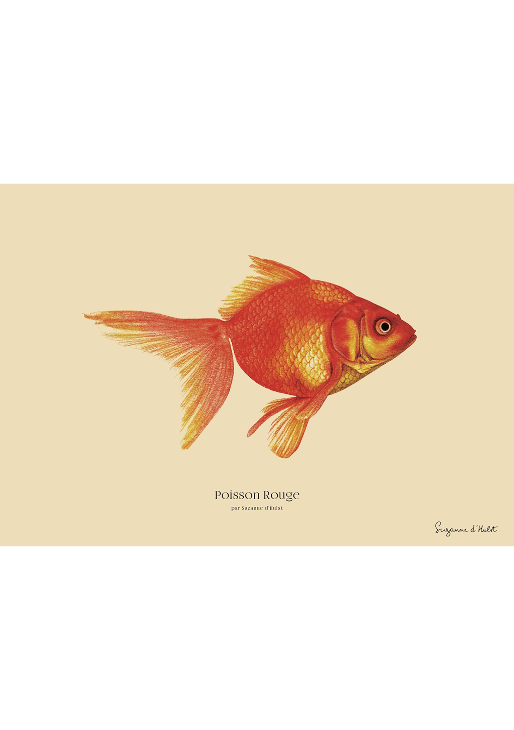 affiche-animaux-suzanne-d-hulst-poisson-1