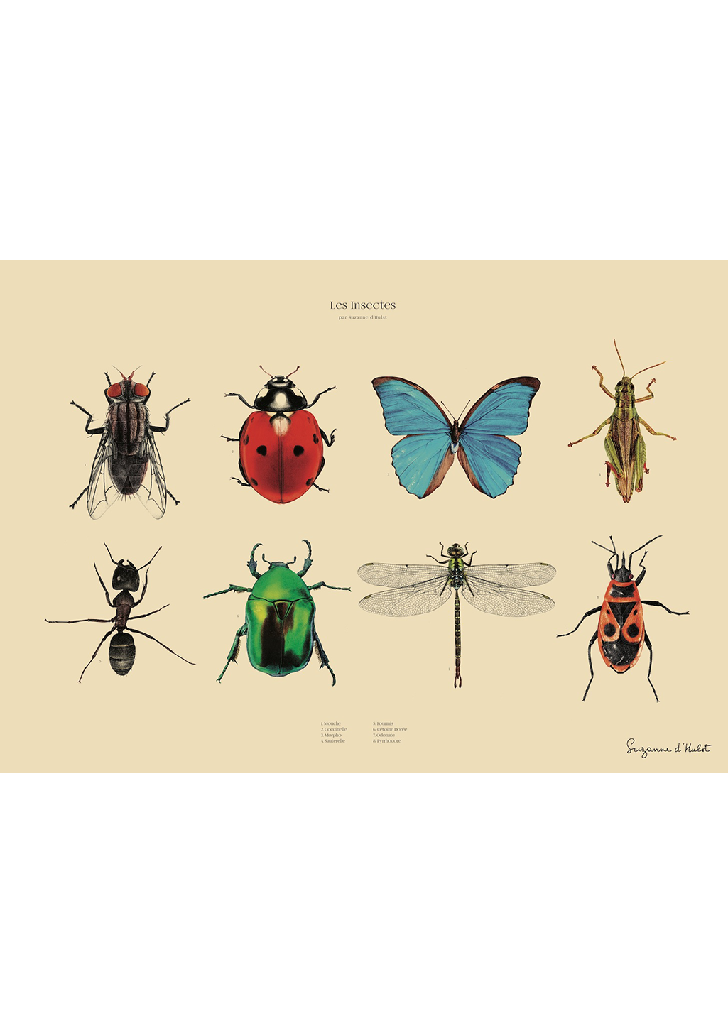 affiche-nature-suzanne-d-hulst-les-insectes-1