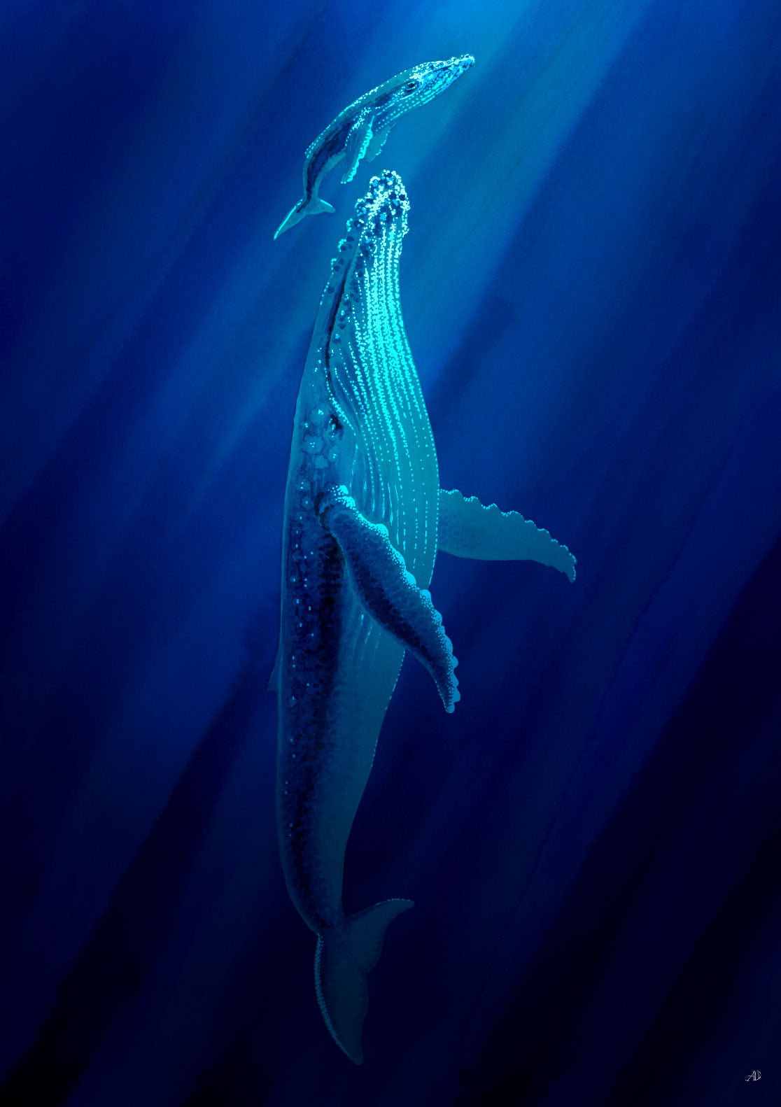 Baleine bleue nageant dans l'océan profond
