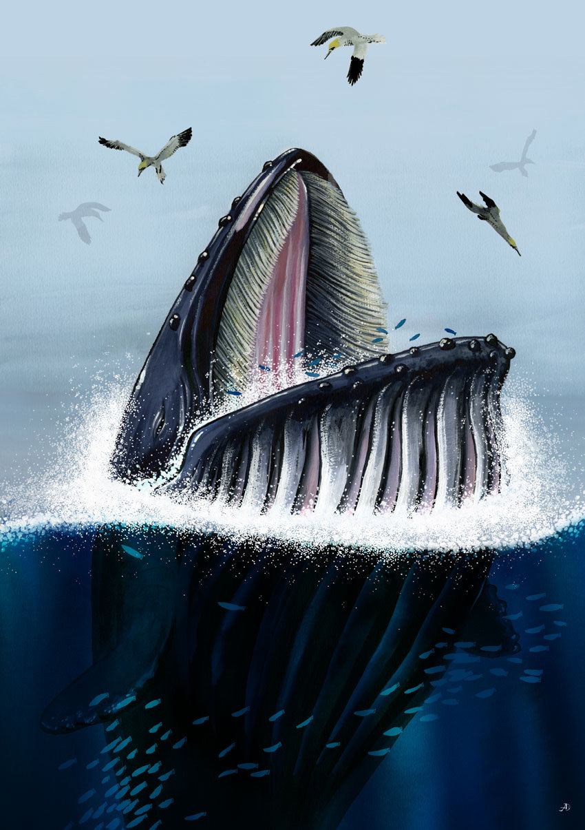 Baleine sautant, oiseaux, eau, poissons, ciel bleu, art, nature, marine, puissant, dynamique, liberté, vie aquatique