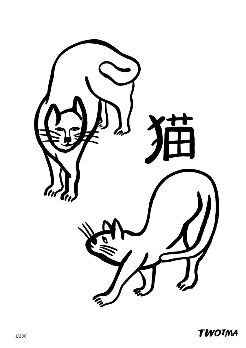 chats