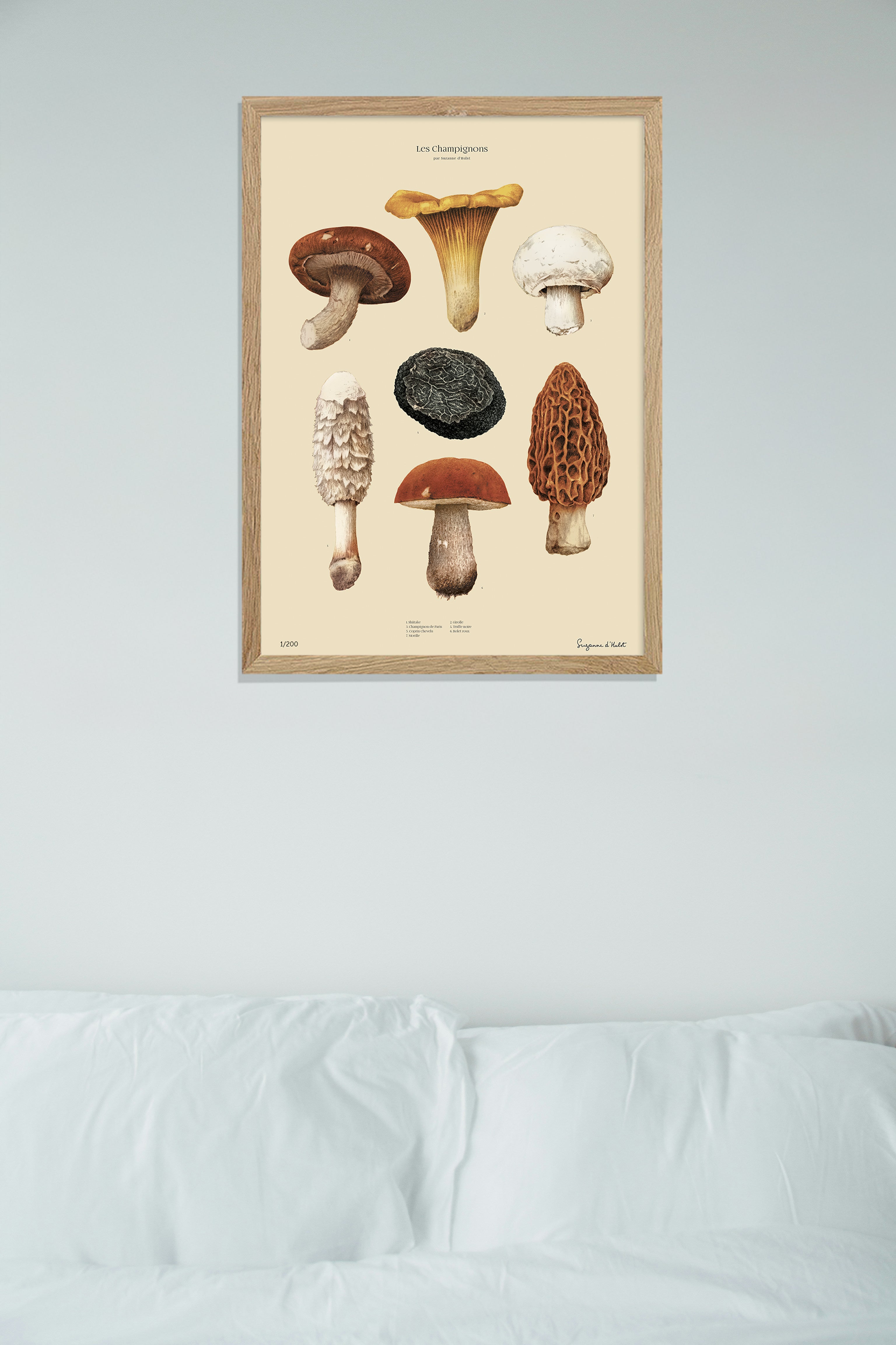 Les Champignons 2