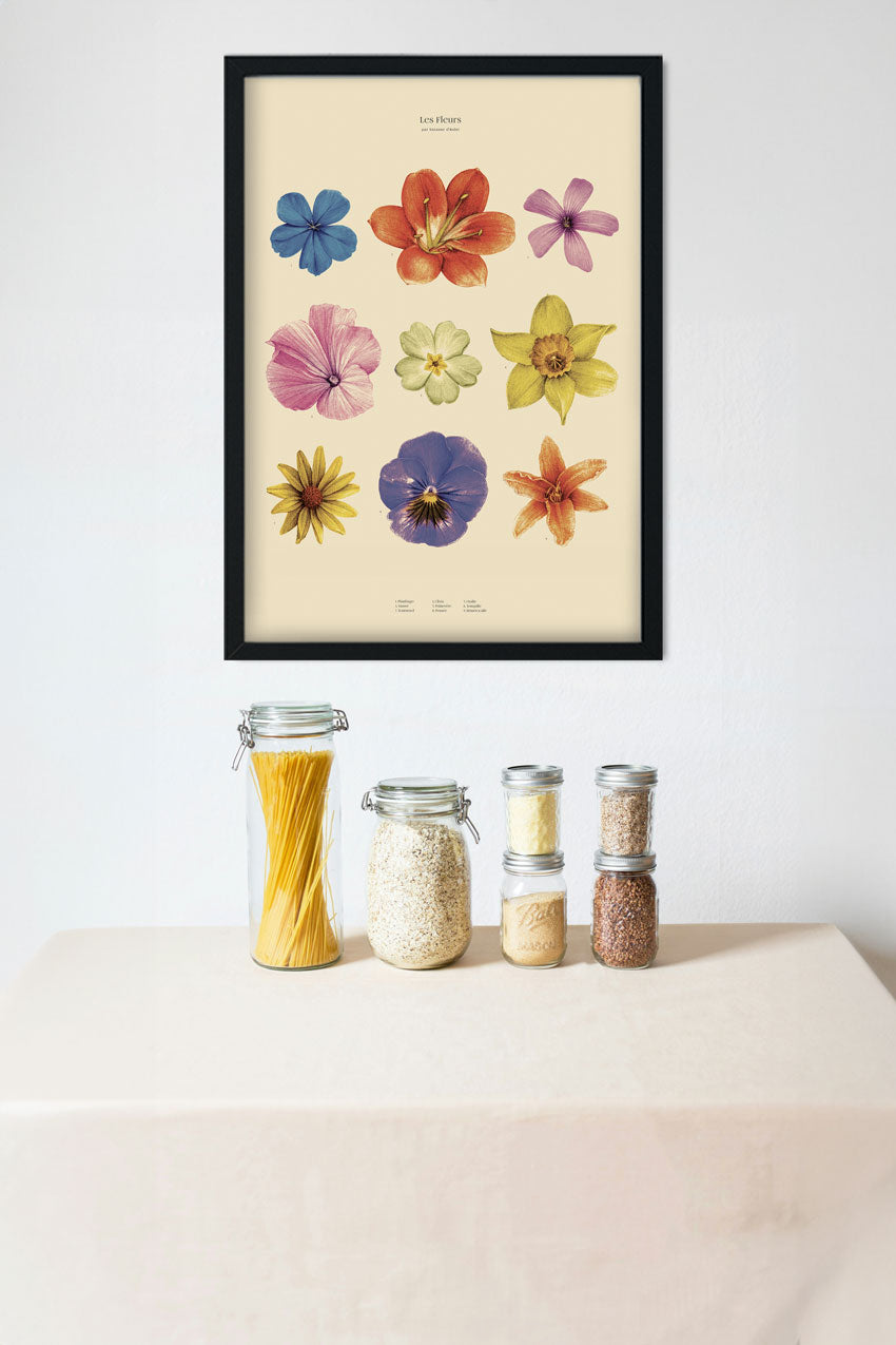 Poster de fleurs séchées colorées dans des cadres