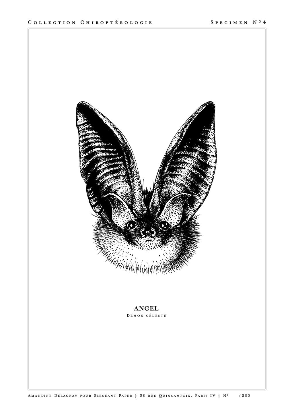 affiche-animaux-amandine-delaunay-angel-1