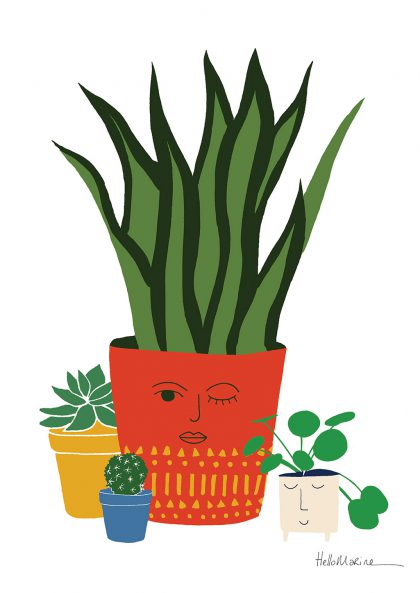 Plantes en pot, visages, couleurs vives, succulentes, illustration, design, art, maison, plantes d'intérieur, poterie, créatif, joyeux