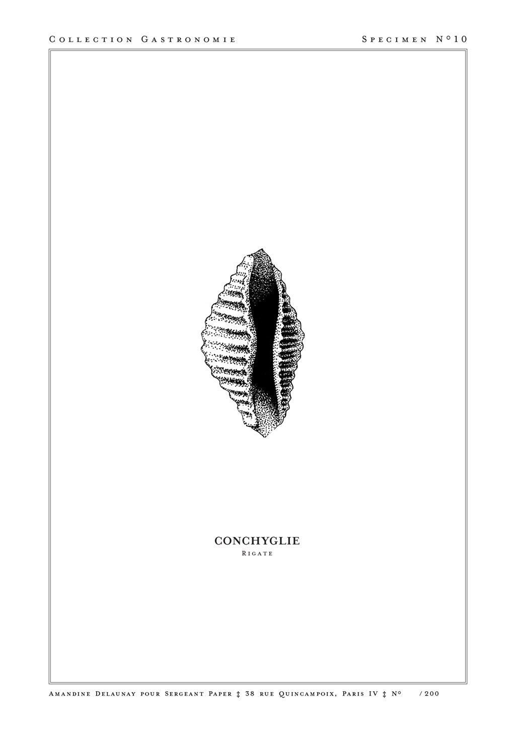 Feuille de Conchiglie Rigate, Collection Gastronomique, Amandine Delaunay, Papier de Serpent, Paris