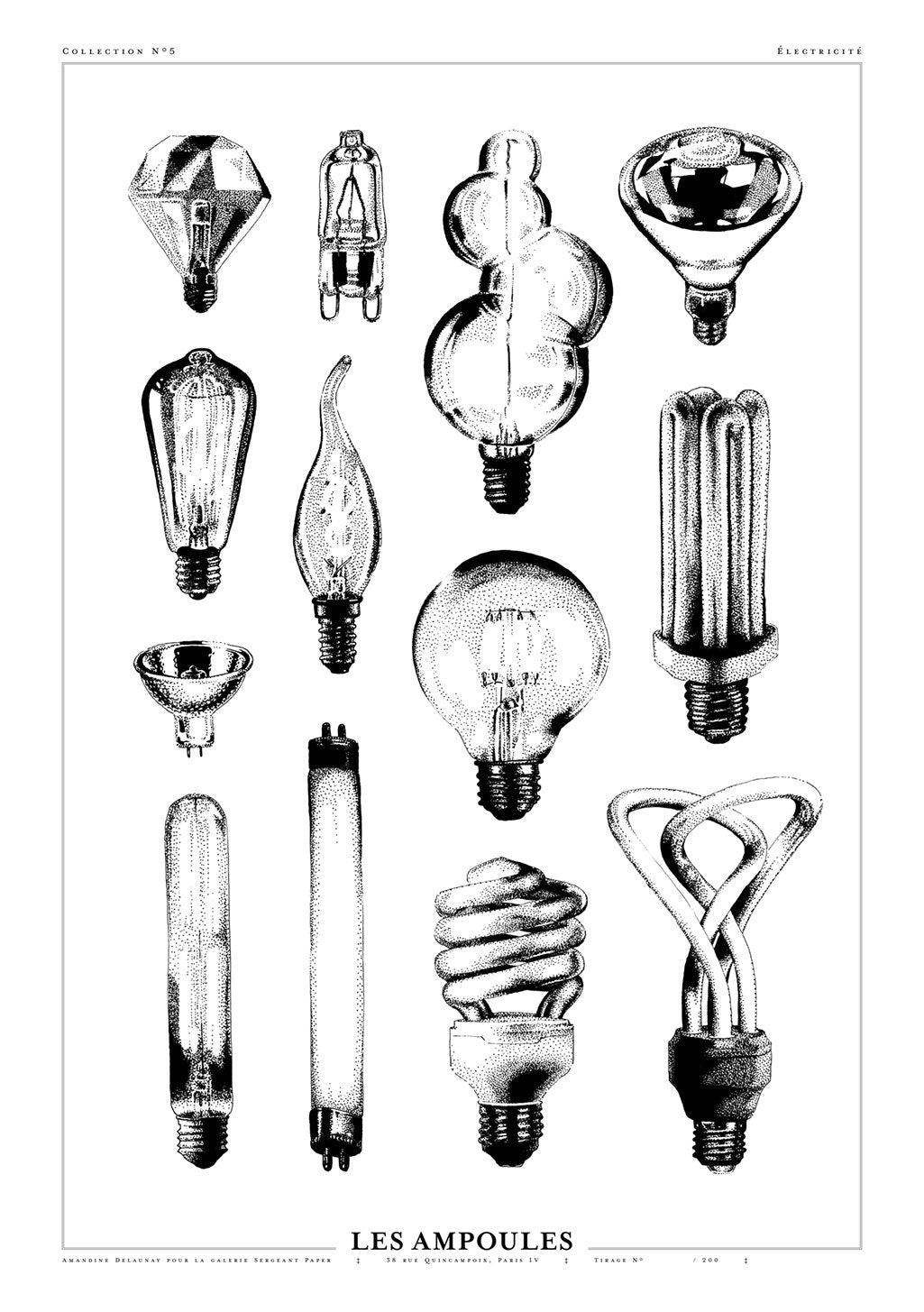 Illustrations en noir et blanc de diverses ampoules électriques