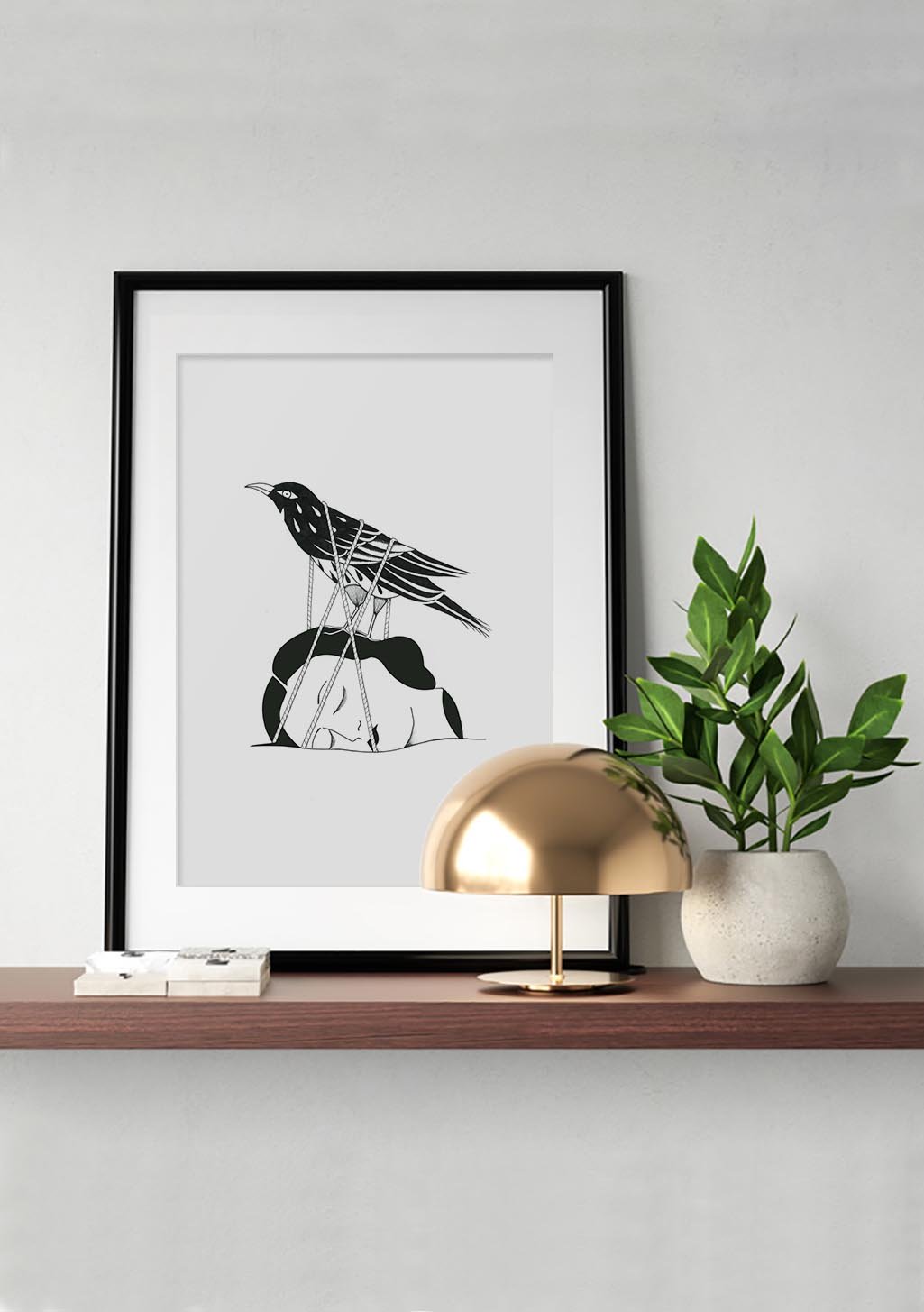 Oiseau noir et blanc sur chaise
