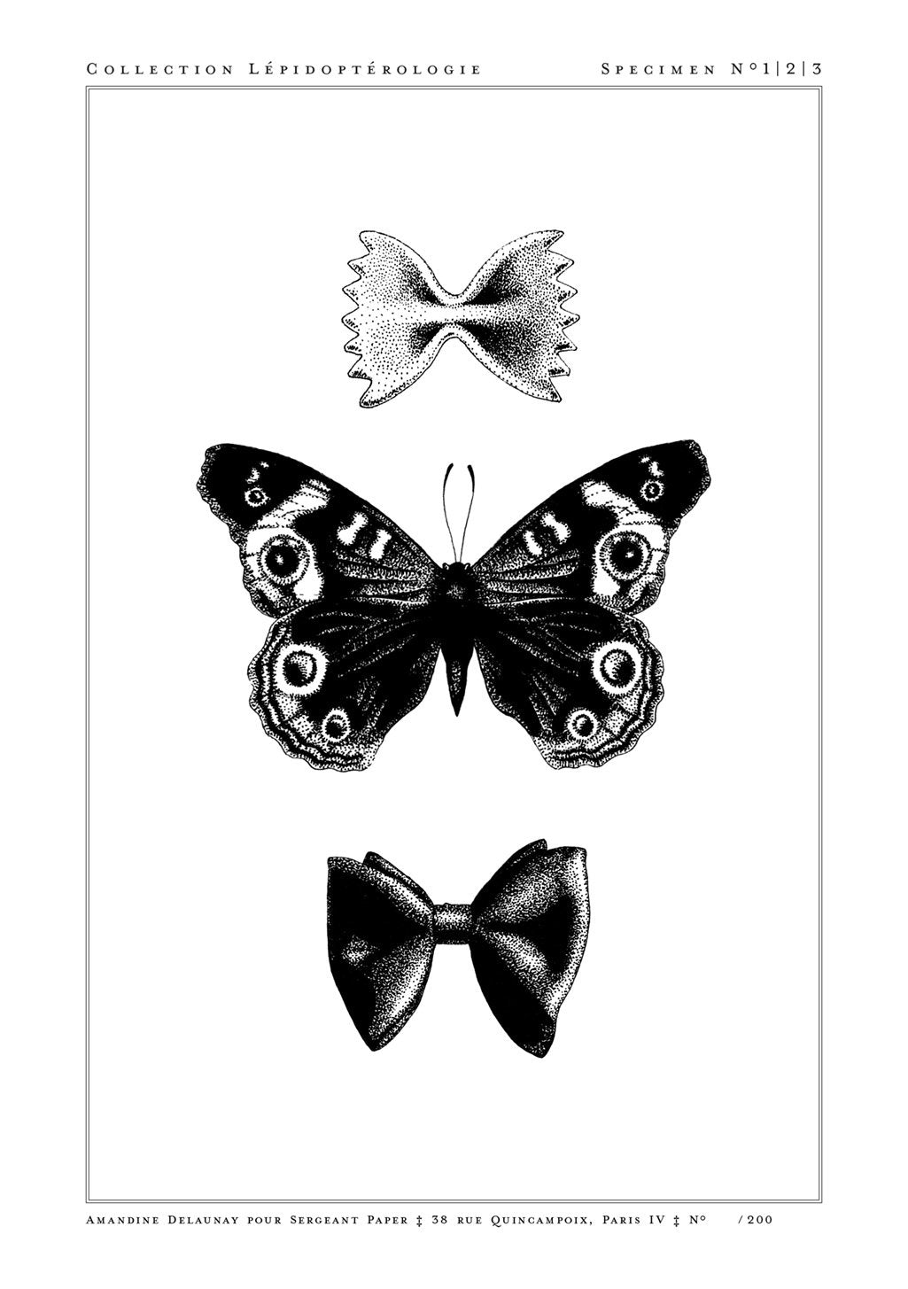 affiche-animaux-amandine-delaunay-les-papillons-1