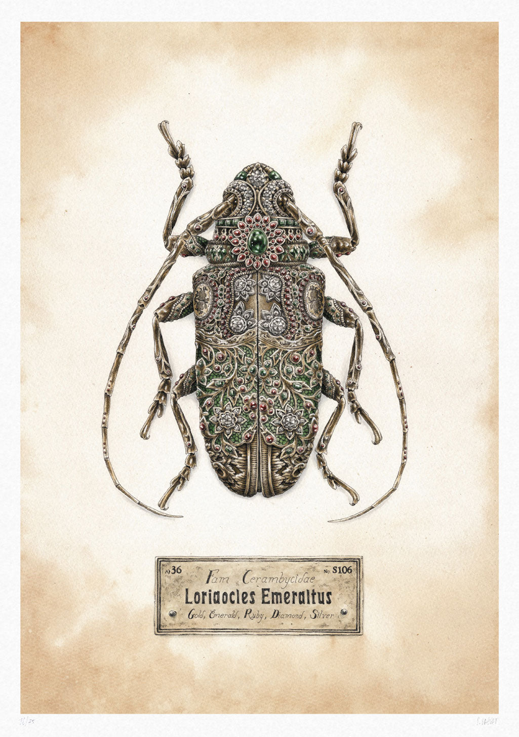 Insecte orné, bijoux, étiquette, papillon, or, émeraude, rubis, diamant, argent, ancien, art, nature morte