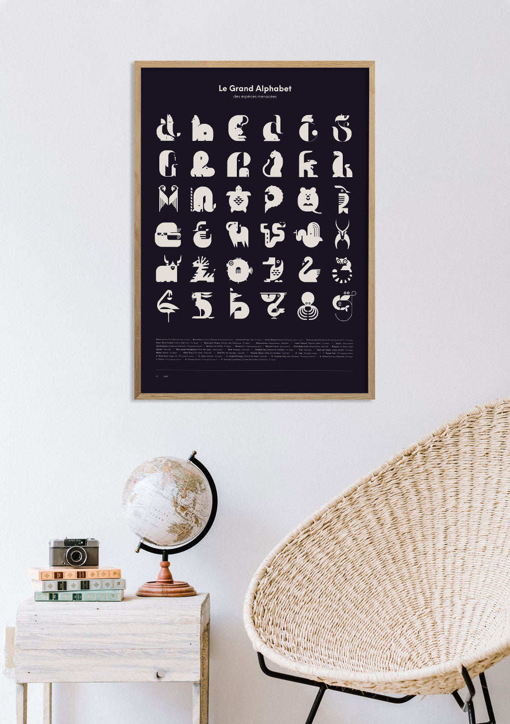 Poster alphabétique noir et blanc avec des illustrations d'animaux
