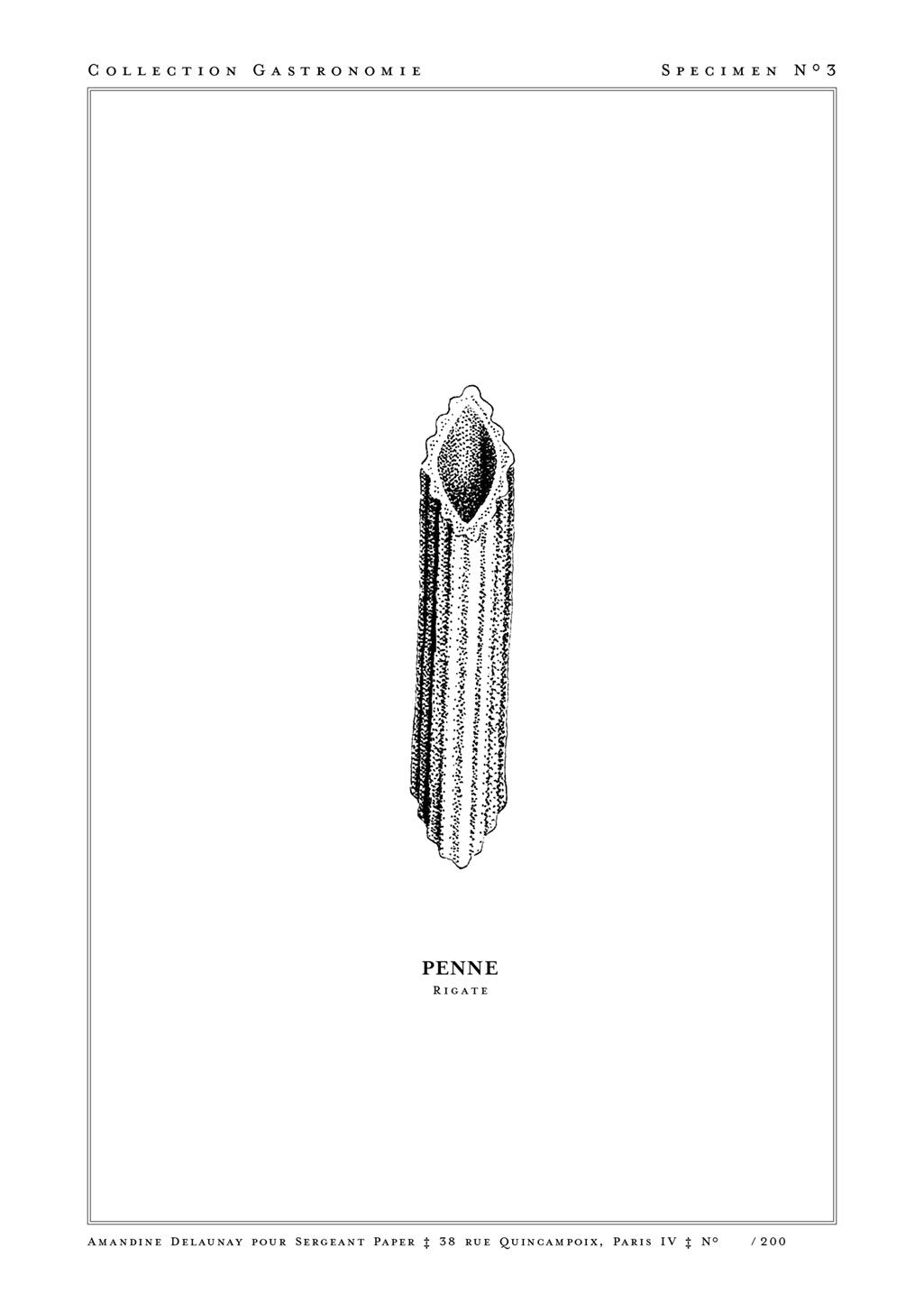 Illustration en noir et blanc d'une plume, étiquette « PENNE RIGATE »
