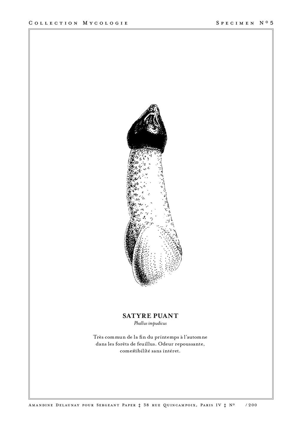 Poster en noir et blanc d'un champignon, texte en bas