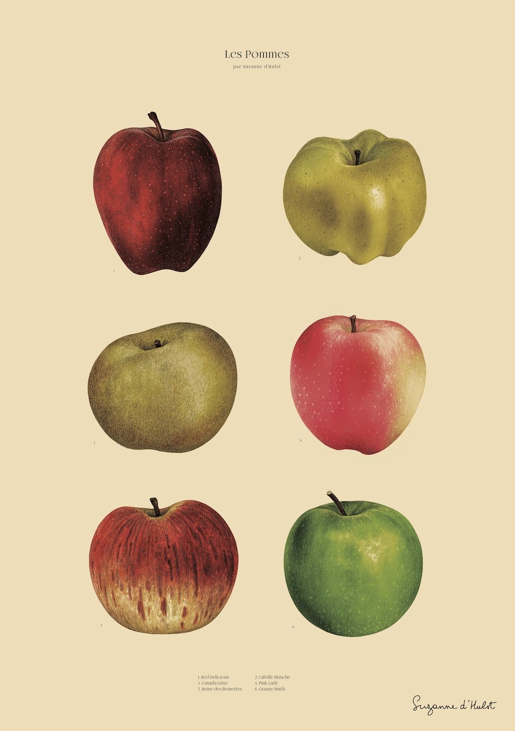 affiche-gastronomie-suzanne-d-hulst-les-pommes-1