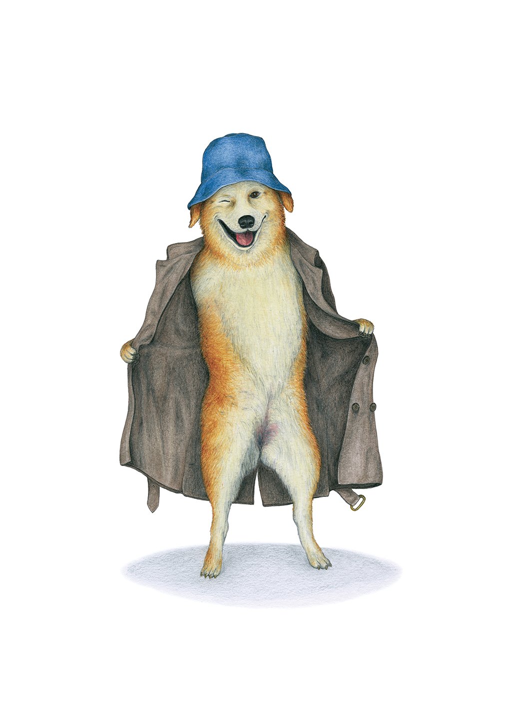 Chien portant chapeau bleu et manteau gris