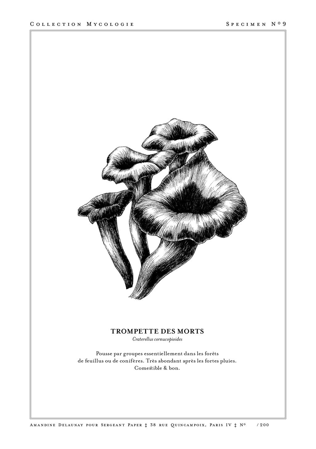 Illustration en noir et blanc de champignons, texte en français, collection mycologique