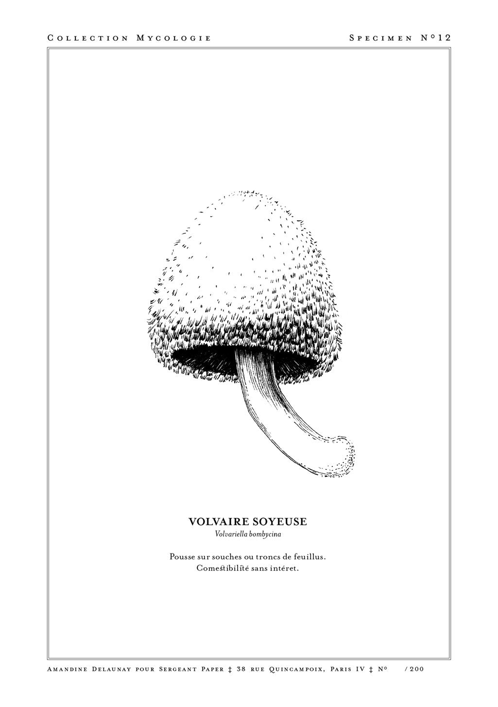 Champignon noir et blanc, texte en français, collection mycologique