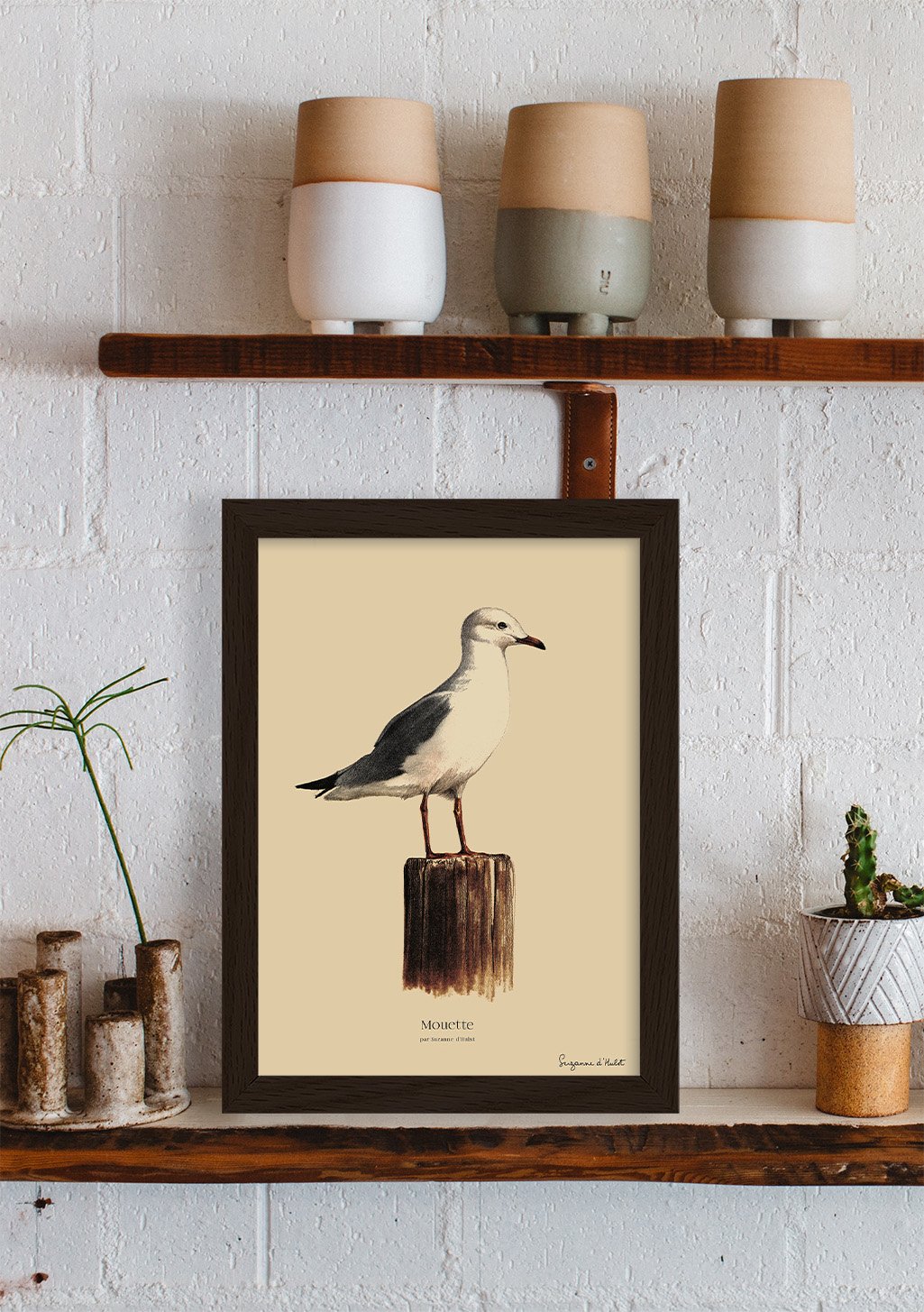 Oiseau, cadre, oiseau marin, poster, bois, étagère, maison, décoration, nature, animal, intérieur, art