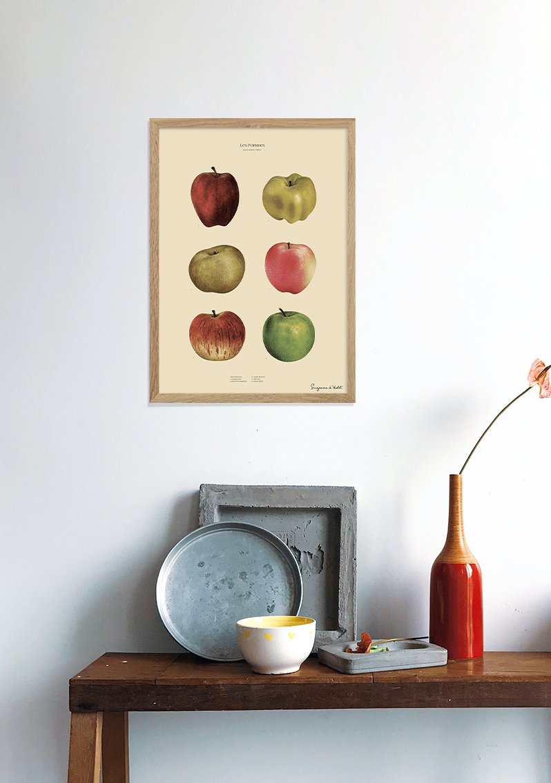 Pomme vintage illustration encadrée