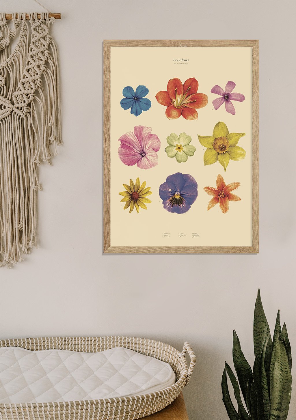 Poster de fleurs colorées dans des cadres