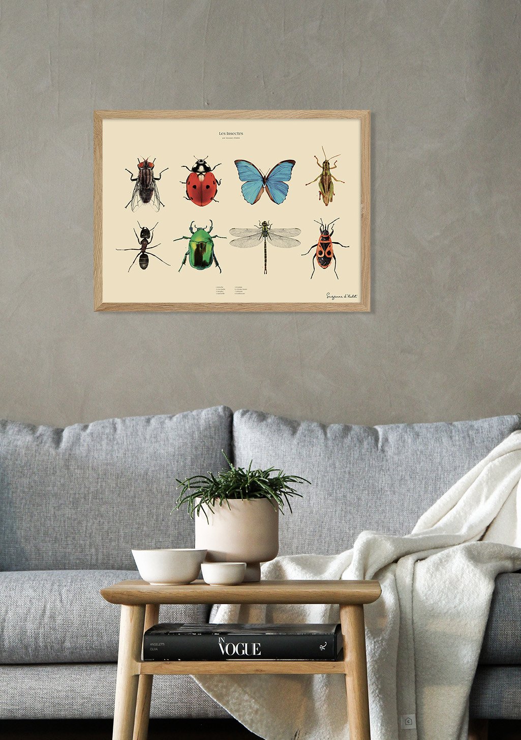 Poster encadré de divers insectes colorés