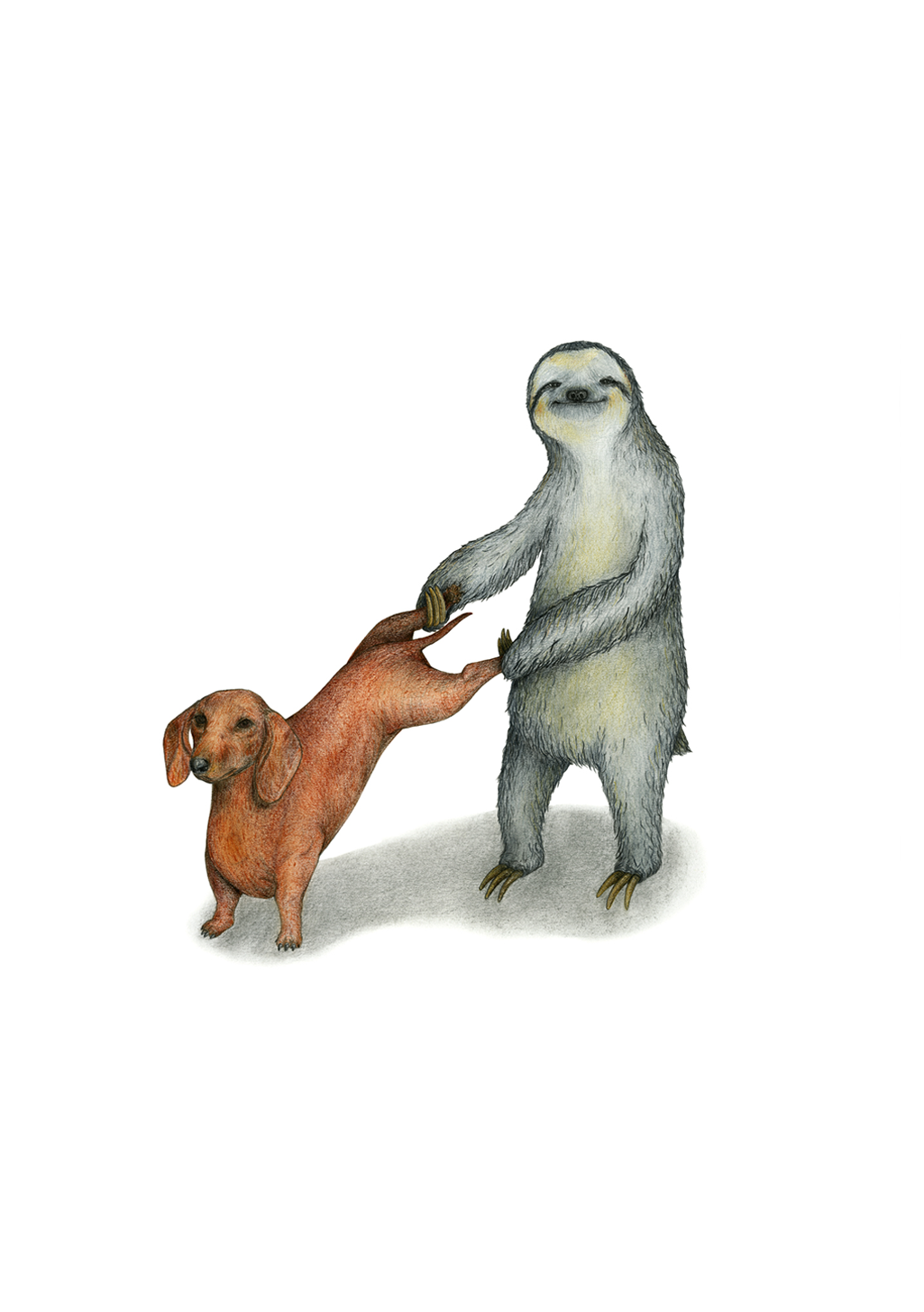 Illustration d'un chien et d'un paresseux se tenant la patte