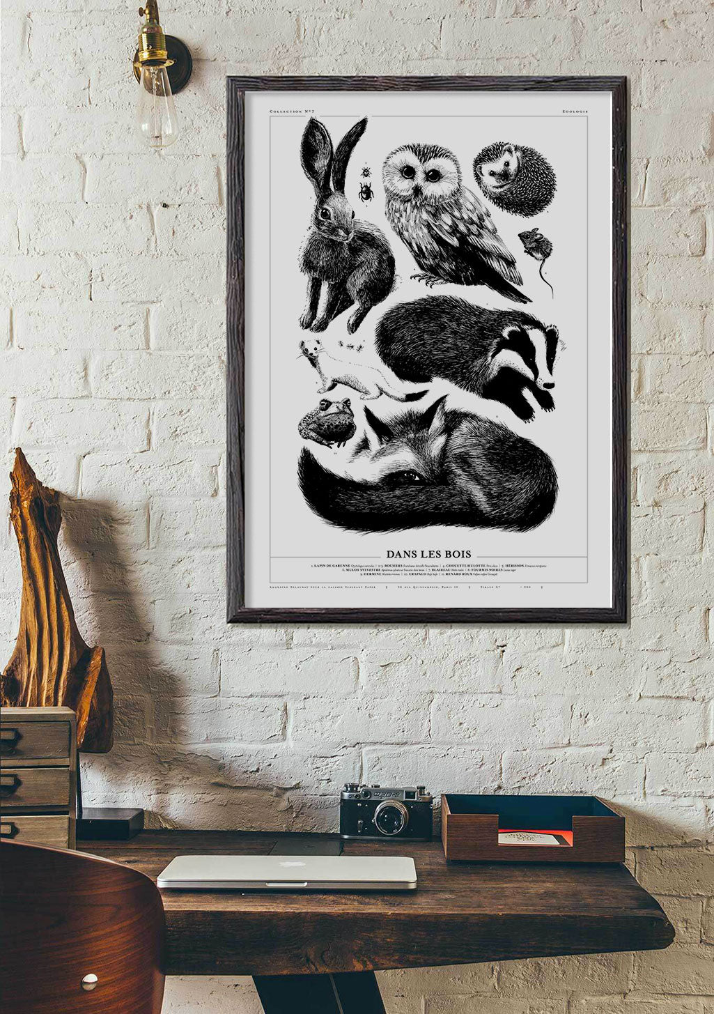 Poster en noir et blanc d'animaux, bois, hibou, lapin, hermine